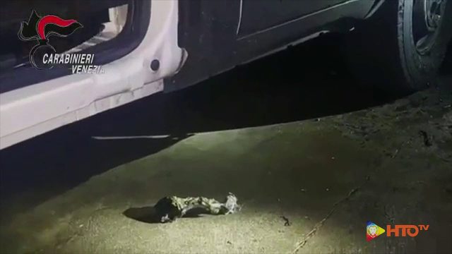 Carabinieri – San Donà di Piave (VE), Misure cautelari nei confronti di persone ritenute responsabili di estorsione