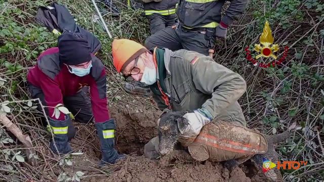 Vigili del Fuoco – Perugia, Salvataggio di un cane caduto in una profonda buca