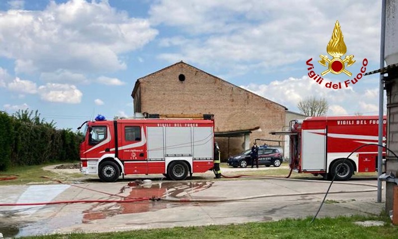 Vigili del Fuoco – Ponso (PD), Incendio capannone di in un allevamento avicolo, morti 4000 polli