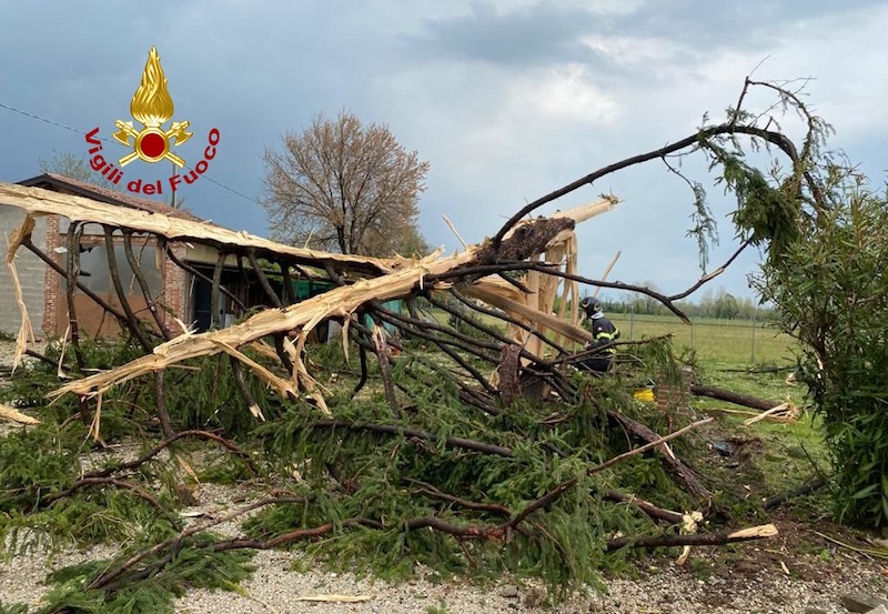 Vigili del Fuoco – Thiene (VI), Intervento per un fulmine che ha colpito un pino squarciandolo, danni anche all’abitazione vicina