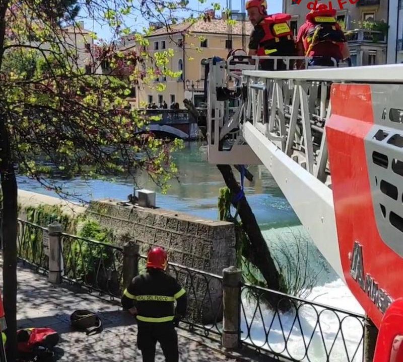Vigili del Fuoco – Treviso, Rimosso un grosso tronco incastrato all’interno del fiume Sile
