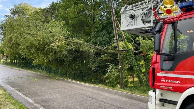 Vigili del Fuoco – San Biagio di Callalta Loc. Borgo Cattaneo (TV), Albero si abbatte sulla linea telefonica aerea di Telecom danneggiandola ed invade la sede stradale