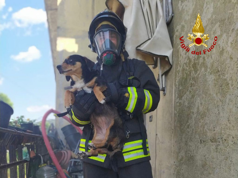 Vigili del Fuoco – Lozzo Atestino (PD), Salvata anziana donna 83enne ed i suoi due cani dall’incendio della sua abitazione