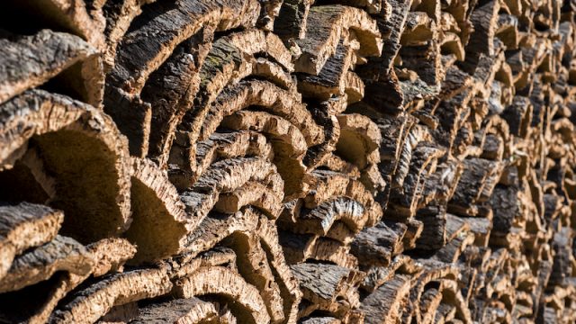 Riparte la nuova campagna di promozione in Italia a sostegno del sughero, oggi sinonimo di eccellenza ecocompatibile