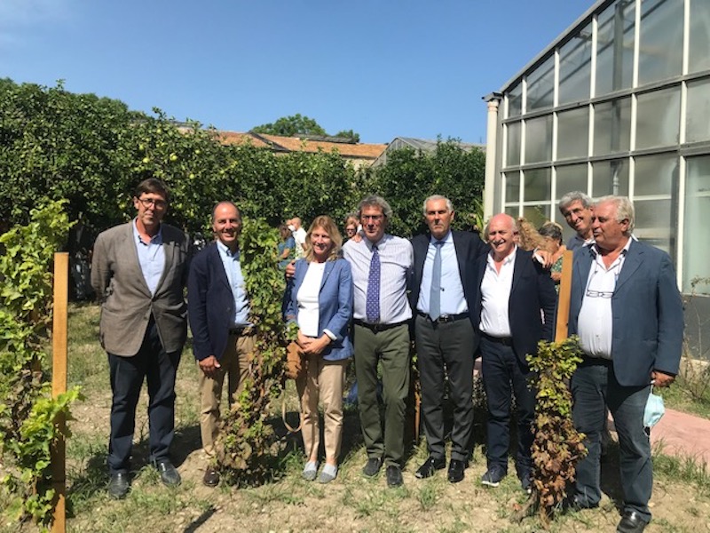 In Sicilia la Vigna del Gallo e l’Etna Urban Winery nel network dell’Urban Vineyard Association