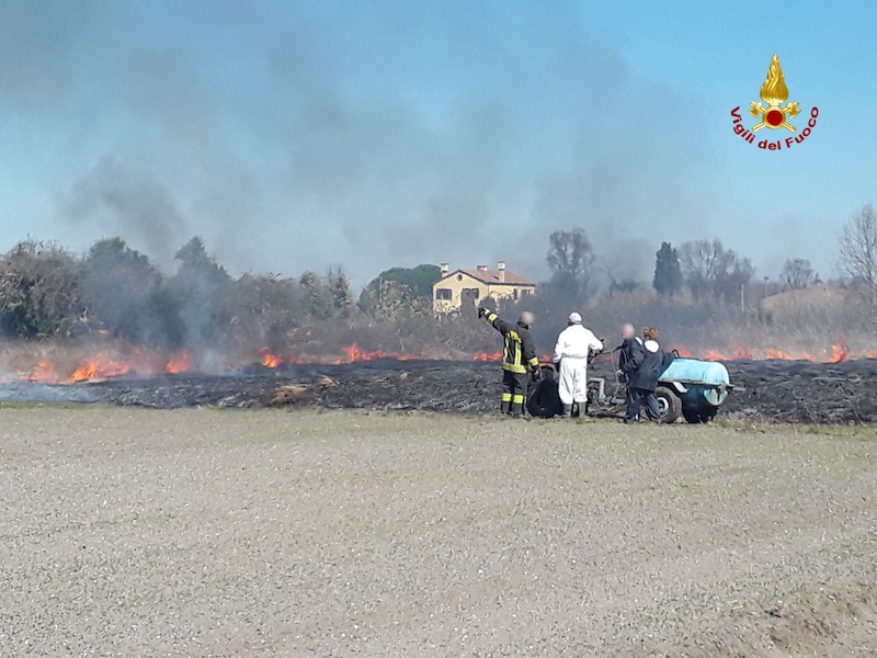 Isola di Sant’Erasmo (VE) – Vasto incendio di sterpaglie nei pressi di Via dei Spironi