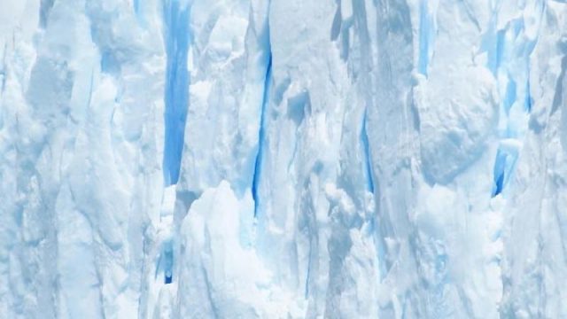 Alla Sala Capitolare del Senato L’Ultima Libertà di Elio Rogati