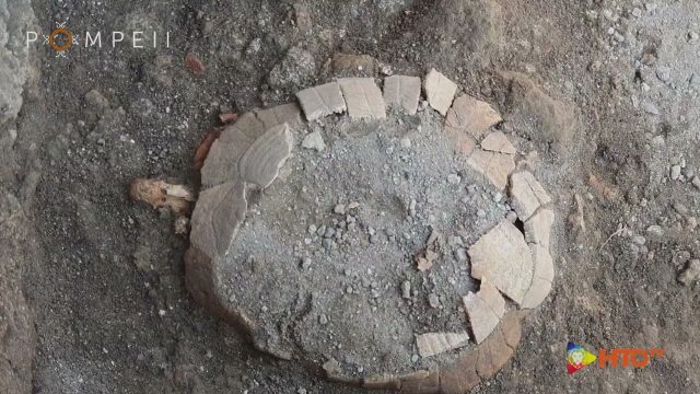Parco archeologico di Pompei (NA) – Straordinario ritrovamento di una testuggine di 2000 anni fa e del suo uovo