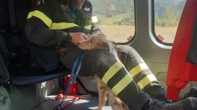 Belluno – Abilitate 8 nuove unità cinofile dei Vigili del Fuoco presso il Comando Provinciale