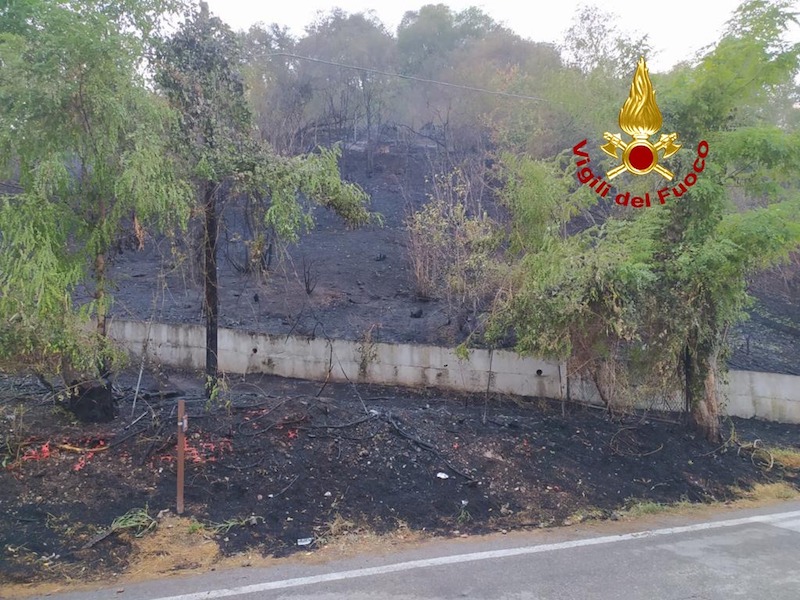 Montegrotto Terme Loc. Turri – Incendio di una porzione di bosco in via Cataio