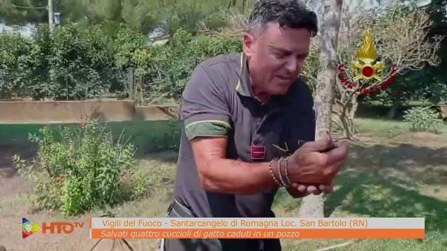 Santarcangelo di Romagna Loc. San Bartolo (RN) – Salvati quattro cuccioli di gatto caduti in un pozzo