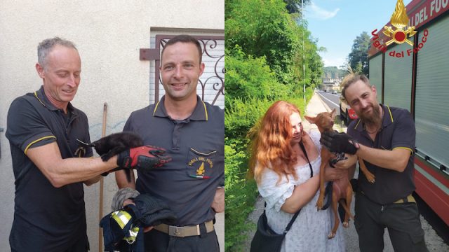 Vicenza – Tra i 25 interventi odierni dei Vigili del fuoco anche il salvataggio di un gattino e di un cane