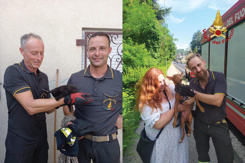 Vicenza – Tra i 25 interventi odierni dei Vigili del fuoco anche il salvataggio di un gattino e di un cane