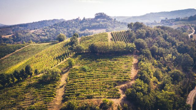 Cantina Torrevilla prospetta una vendemmia 2022 eroica ed influenzata dal cambiamento climatico
