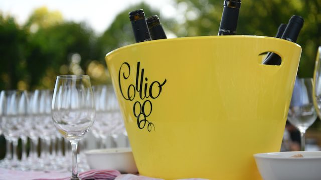 Vendemmia 2022 – La crisi idrica non comprometterà la produzione del Consorzio Collio