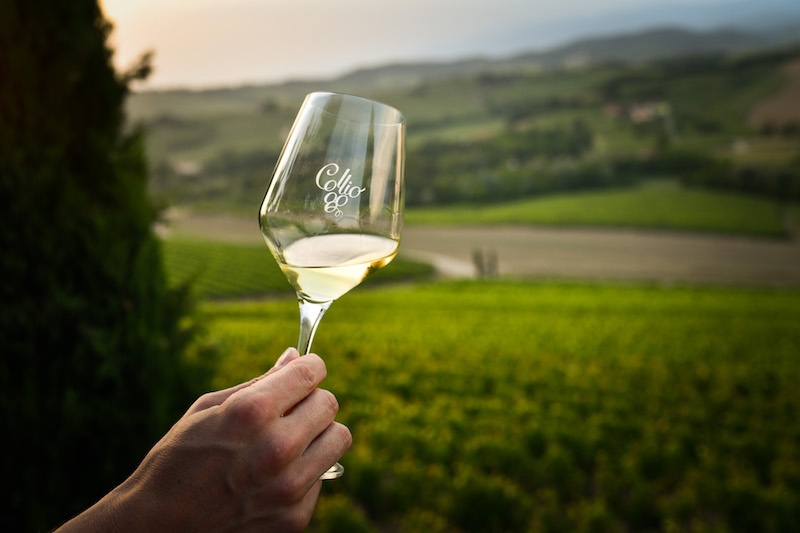 I vini del Collio protagonisti a Cortina: Il consorzio tutela vini collio sarà sponsor di the Queen of Taste 2022