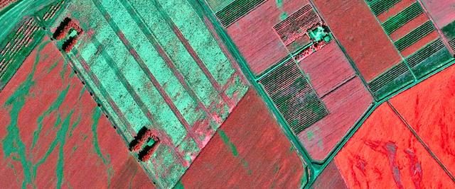 Leonardo – Online la terza puntata della serie “Scenario Futuro” dedicato all’agricoltura di precisione