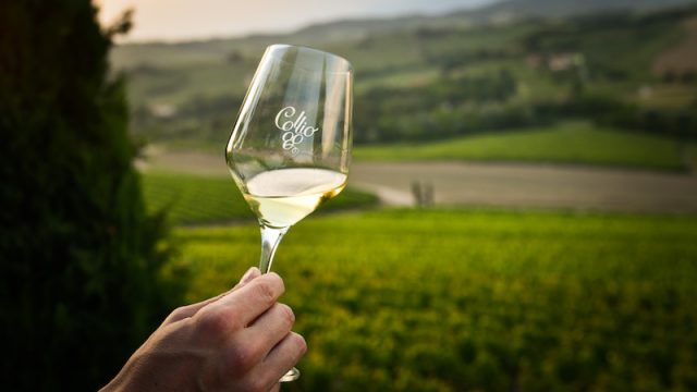Consorzio di tutela Vini Collio: Valorizzazione del territorio e tracciabilità della filiera grazie al QR code in etichetta