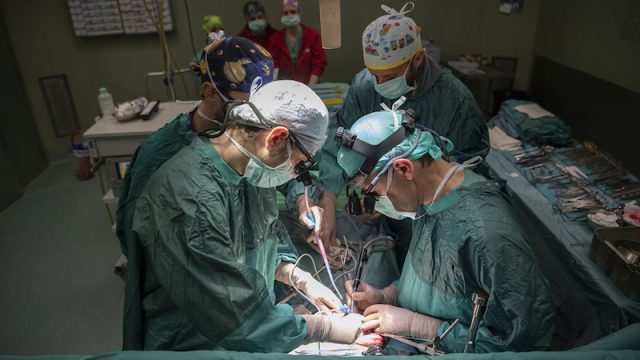 OPBG Ospedale Pediatrico Bambino Gesù – Malattie Rare: Per l’Acidemia Metilmalonica il trapianto Fegato/Rene è la terapia più efficace