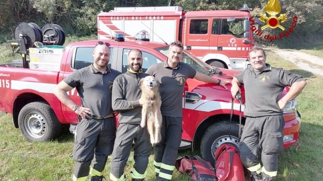 Schio Loc. San Zeno (VI) – Salvato Lillo, un cane meticcio di 16 anni, caduto in un dirupo