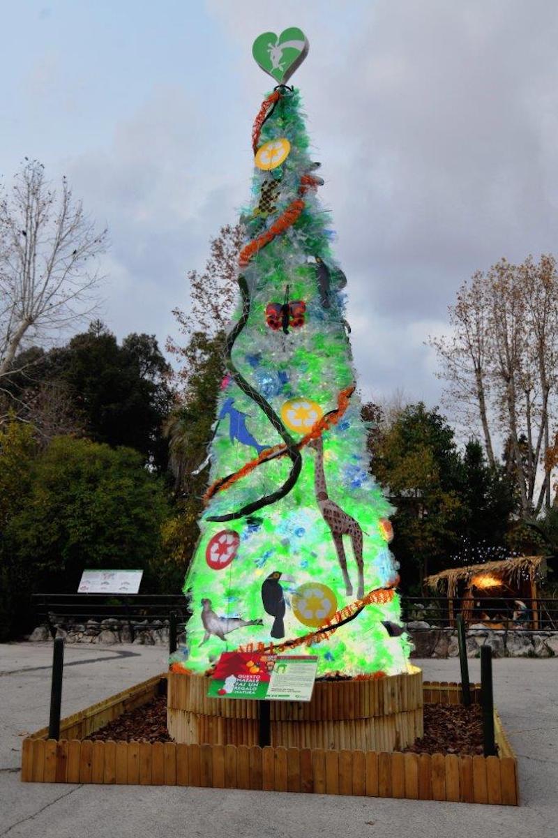 Festività natalizie: al Bioparco di Roma l’albero del riciclo