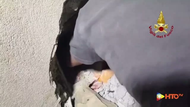 Capannori (LU) – Salvato un gattino rimasto bloccato in un tubo di scolo delle acque piovane