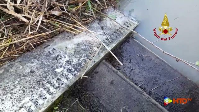 Boara Polesine (RO) – Monitoraggio del livello idrometrico del fiume Adige