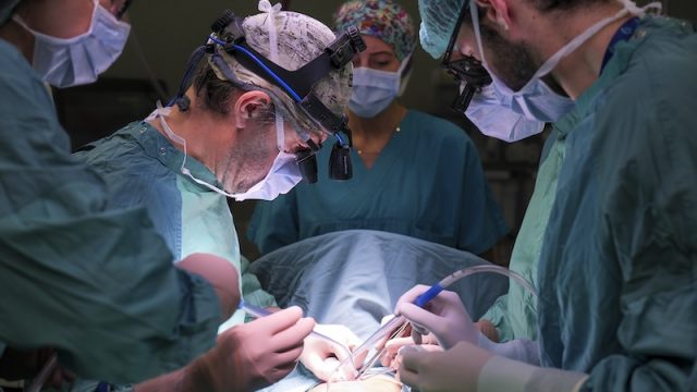 Ospedale Pediatrico Bambino Gesù – Aumentati del 50% i trapianti di Fegato e Rene