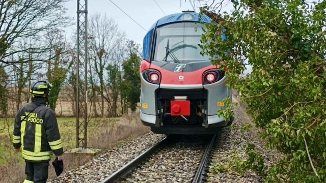 Salzano (VE) – Albero cade sulla linea ferroviaria Venezia-Bassano a causa del forte vento: Linea interrotta