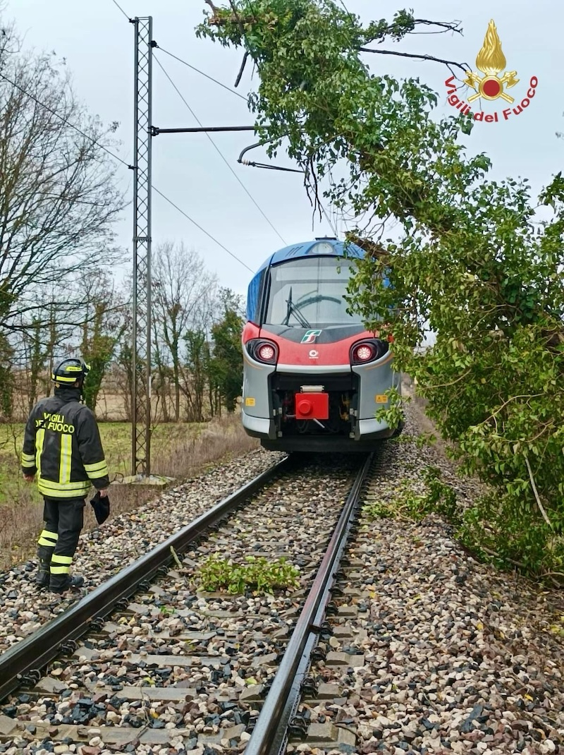 Salzano (VE) – Albero cade sulla linea ferroviaria Venezia-Bassano a causa del forte vento: Linea interrotta