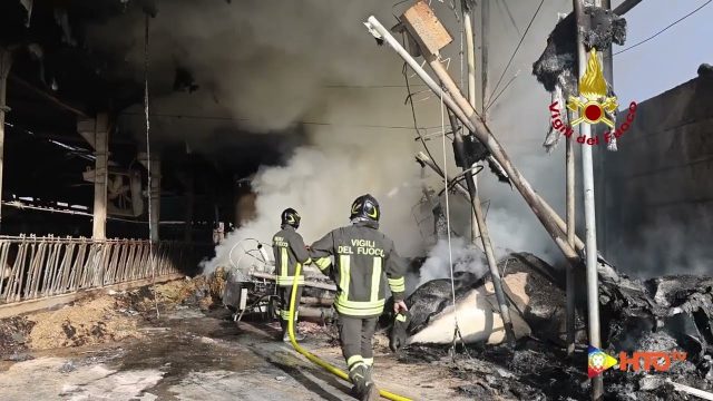 Schio Loc Giavenale (VI) – Salvati 100 bovini dall’incendio della stalla