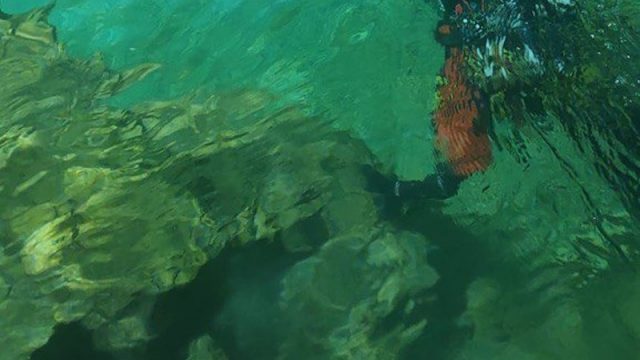 Arsiero (VI) – Si tuffa nel torrente Astico per recuperare il drone: muore annegato