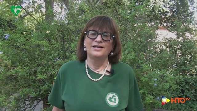 L’orso Kuma trasferito in un centro di recupero tedesco – Il plantigrado, abbandonato da cucciolo dalla madre a Gorizia, dal 2022 era ospite al Bioparco di Roma