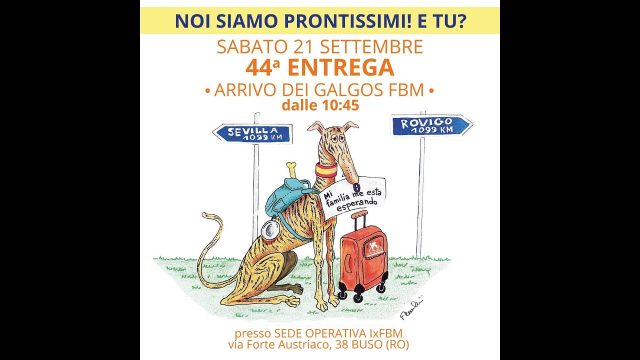 Buso (RO) – Spagna Italia solo andata, la 44a Entrega di Insieme per FBM – Le adozioni del cuore