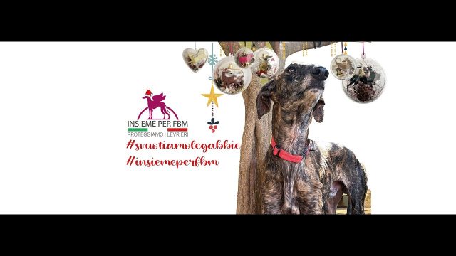 Buso (RO) – Le adozioni di Natale: La 45a Entrega di Insieme per FBM