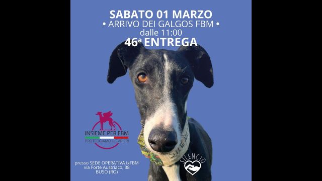 Buso (RO) – Spagna-Italia solo andata: Le adozioni di Primavera, la 46a Entrega di Insieme per FBM