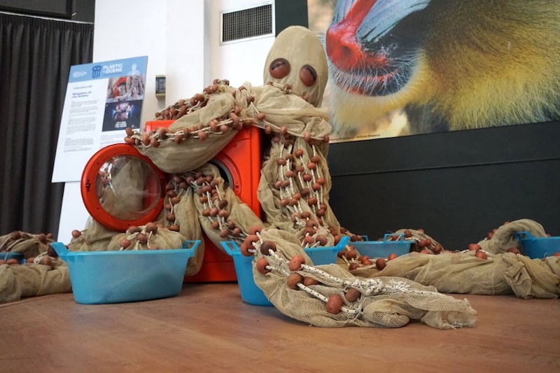 Esposizione ‘PLASTICOCENE’ al Bioparco di Roma, 8 giugno – 8 dicembre 2025: Eco percorso artistico per sensibilizzare al rispetto del mare