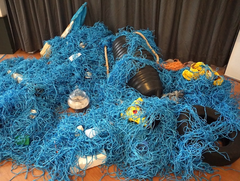 Esposizione ‘PLASTICOCENE’ al Bioparco di Roma, 8 giugno – 8 dicembre 2025: Eco percorso artistico per sensibilizzare al rispetto del mare