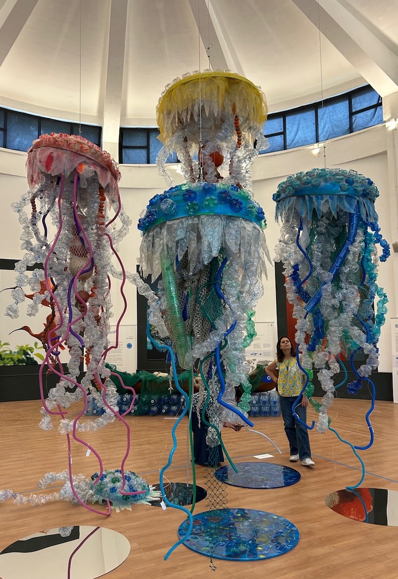 Esposizione ‘PLASTICOCENE’ al Bioparco di Roma, 8 giugno – 8 dicembre 2025: Eco percorso artistico per sensibilizzare al rispetto del mare