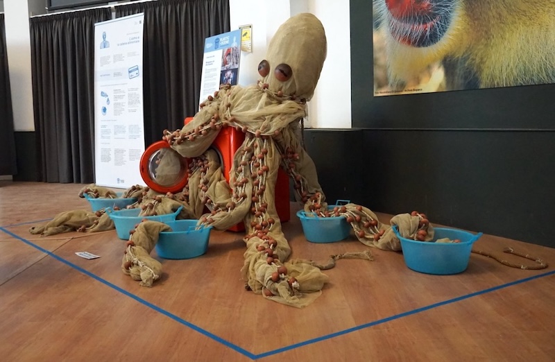 Esposizione ‘PLASTICOCENE’ al Bioparco di Roma, 8 giugno – 8 dicembre 2025: Eco percorso artistico per sensibilizzare al rispetto del mare