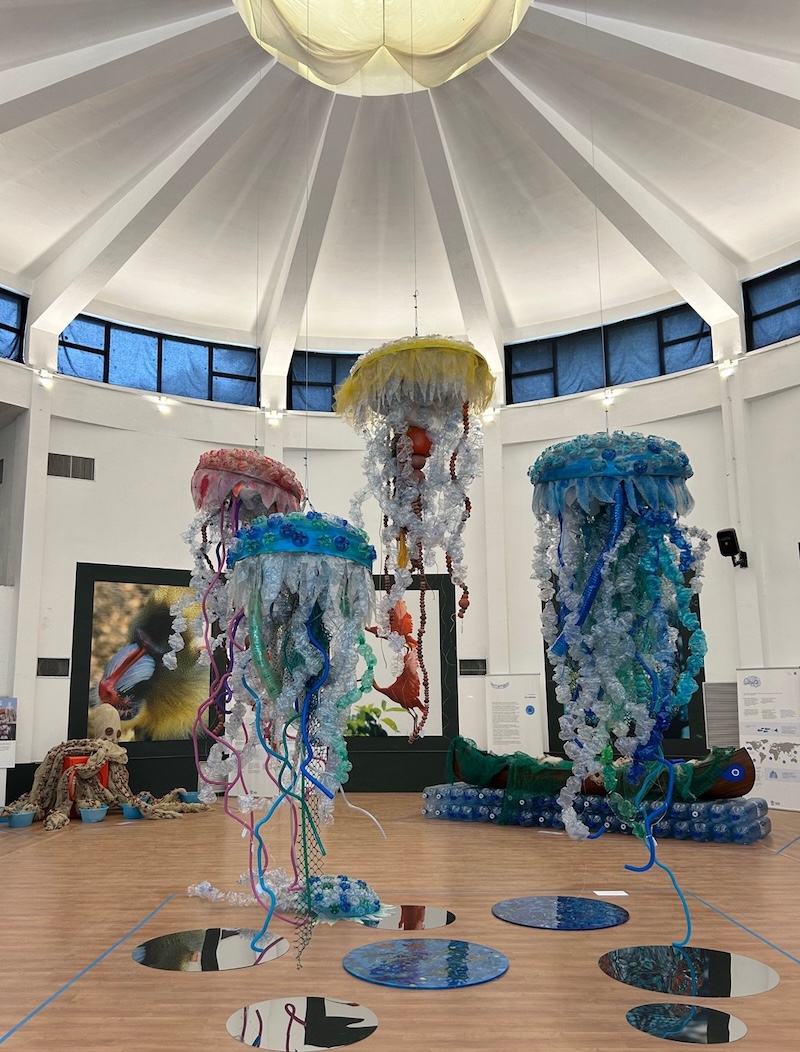 Esposizione ‘PLASTICOCENE’ al Bioparco di Roma, 8 giugno – 8 dicembre 2025: Eco percorso artistico per sensibilizzare al rispetto del mare