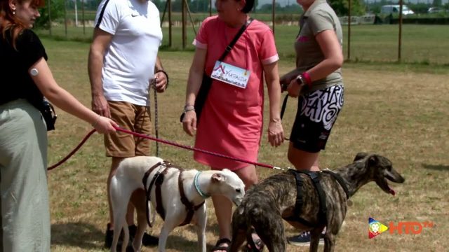 Buso (RO), Spagna Italia solo andata, la 47a Entrega di Insieme per FBM (IxFBM)